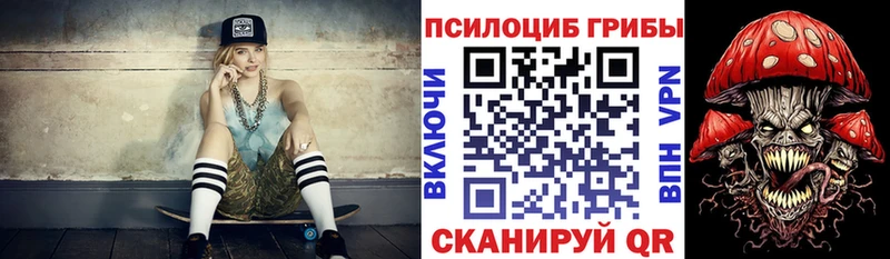 Псилоцибиновые грибы Psilocybe Новокубанск