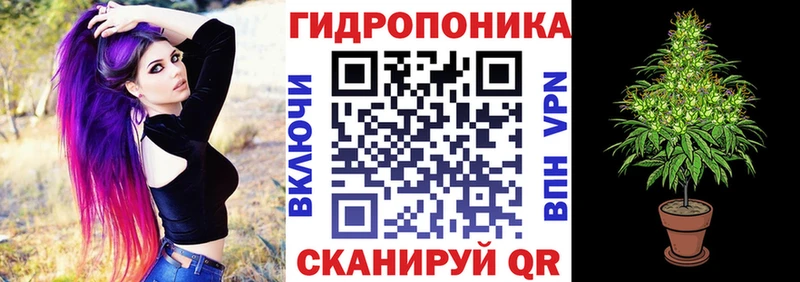 Марихуана SATIVA & INDICA  Купить закладки  Новокубанск 